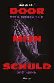 Omslag van Door mijn schuld