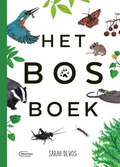 Omslag van Het bosboek