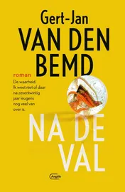 Omslag van Na de val