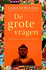 Omslag van De grote vragen
