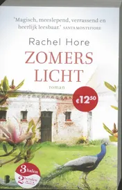 Omslag van Zomers licht
