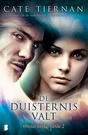 Omslag van De duisternis valt