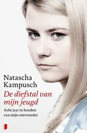 Omslag van De diefstal van mijn jeugd