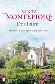 Omslag van De affaire