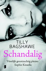 Omslag van Schandalig
