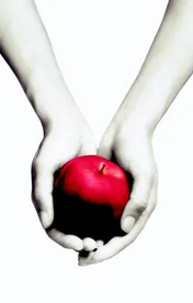 Omslag van Twilight