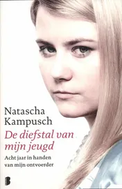 Omslag van Diefstal van mijn jeugd