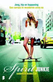 Omslag van Spirit junkie