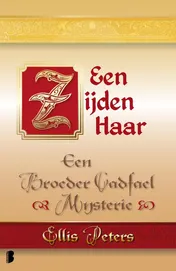 Omslag van Een zijden haar