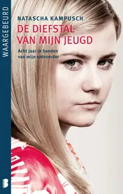 Omslag van De diefstal van mijn jeugd