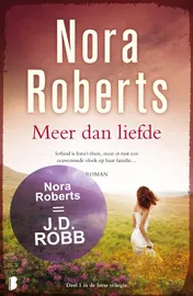 Omslag van Meer dan liefde