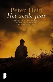 Omslag van Het zesde jaar