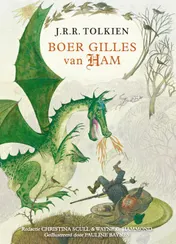 Omslag van Boer Gilles van Ham