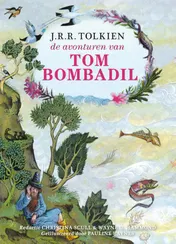 Omslag van De avonturen van Tom Bombadil