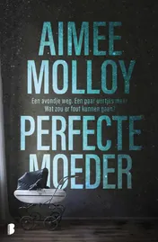 Omslag van Perfecte moeder