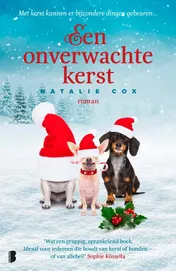 Omslag van Een onverwachte kerst