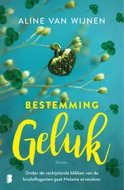 Omslag van Bestemming geluk