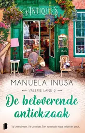 Omslag van De betoverende antiekzaak