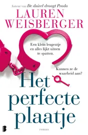 Omslag van Het perfecte plaatje