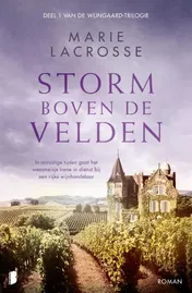 Omslag van Storm boven de velden