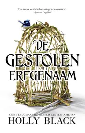 Omslag van De gestolen erfgenaam