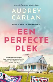 Omslag van Een perfecte plek