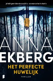 Omslag van Het perfecte huwelijk