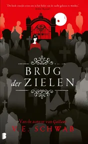 Omslag van Brug der zielen