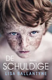 Omslag van De schuldige