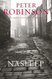 Omslag van Nasleep