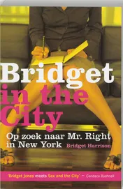 Omslag van Bridget in the city