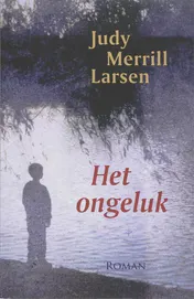 Omslag van Het ongeluk