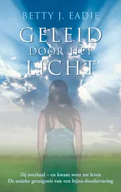 Omslag van Geleid door het licht
