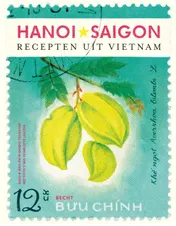 Omslag van Hanoi Saigon