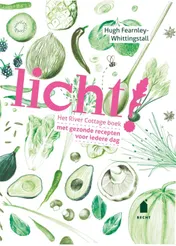 Omslag van Licht!