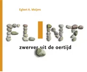 Omslag van Flint