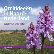 Omslag van Orchideeën in Noord-Nederland