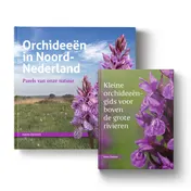 Omslag van Set: Orchideeën in Noord-Nederland + Kleine orchideeëngids