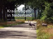 Omslag van Kraanvogels in Nederland