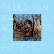 Omslag van Alles van waarde en schoonheid is weerloos