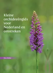 Omslag van Kleine orchideeëngids voor Nederland en omstreken
