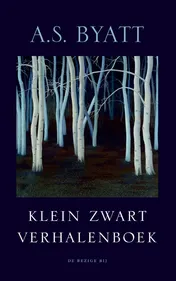 Omslag van Klein zwart verhalenboek