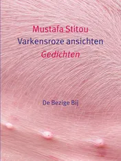 Omslag van Varkensroze ansichten