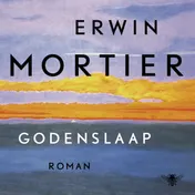 Omslag van Godenslaap