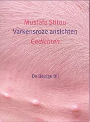 Omslag van Varkensroze ansichten