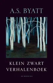 Omslag van Klein zwart verhalenboek