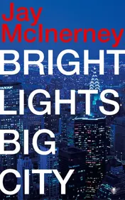 Omslag van Bright lights, big city