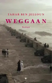 Omslag van Weggaan