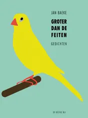 Omslag van Groter dan de feiten