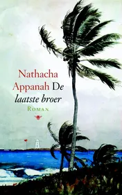 Omslag van De laatste broer